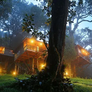 Nature Zone Jungle **** Munnar
