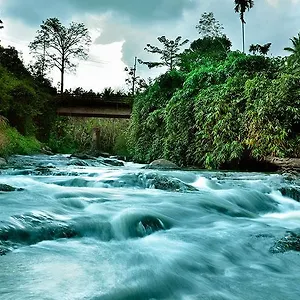 Rivertree *** Munnar