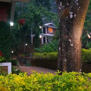 Falling Waters *** Munnar