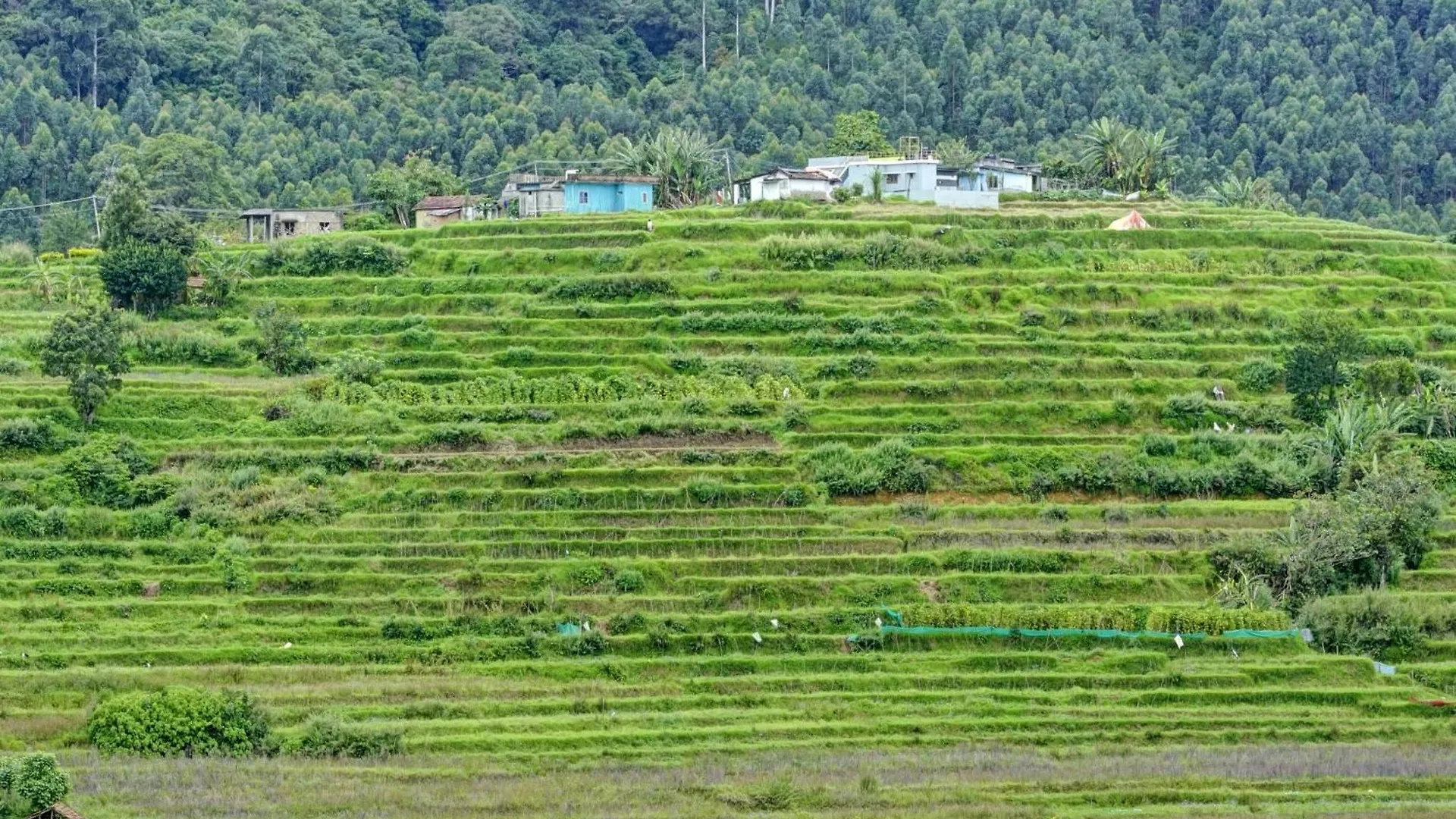 Hotel Oyo Flagship Lulu Home Munnar